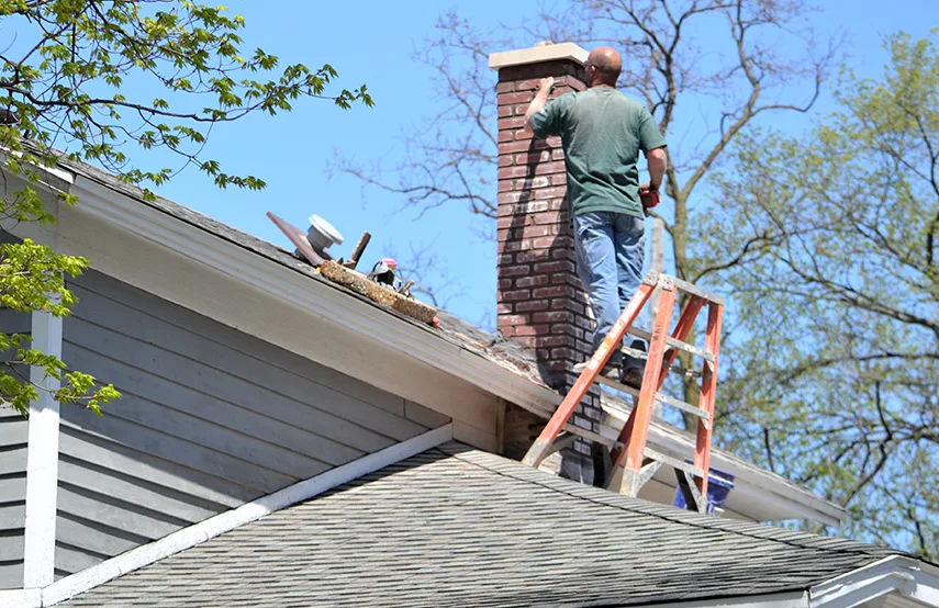 Chimney & Fireplace Inspections Services in Columbus, NE